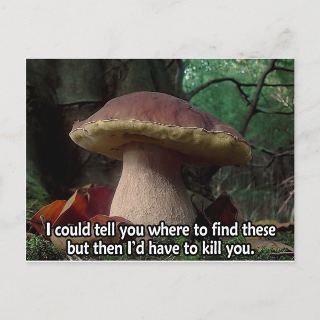 Cartão Postal Rei Bolete - Eu teria que te Matar (Frente)
