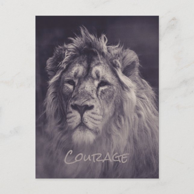Cartão Postal Rei da Selva com Coragem de Leão (Frente)