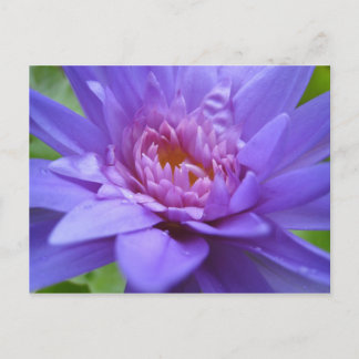 Cartão Postal Rei de Sião