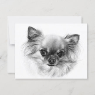 Cartão Postal Rei Pequeno - Retrato Chihuahua Pintado à Mão