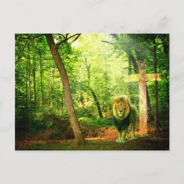 Cartão Postal Rei triunfante (Frente)