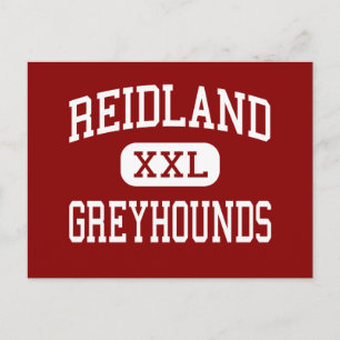 Cartão Postal Reidland - Galgos - Alto - Paducah Kentucky