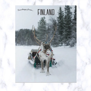 Cartão Postal Reindeer em Kittilä Lapland Finlândia