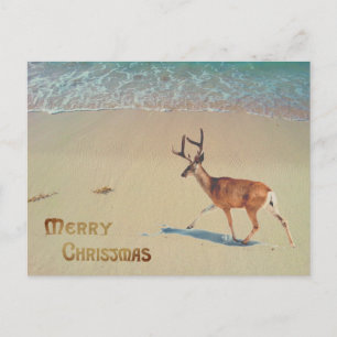Cartão Postal Reindeer na praia surreal Feliz Natal