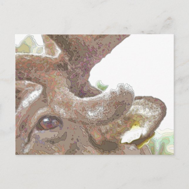 CARTÃO POSTAL REINDETOR (Frente)