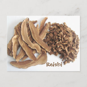Cartão Postal Reishi Mushroom