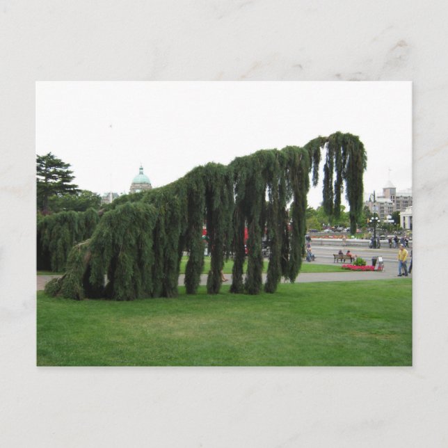 Cartão Postal Rejeitar de um filme de terror? (Frente)