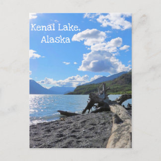 Cartão Postal Relaxando o Lago Kenai do Log de Praia de Driftwoo