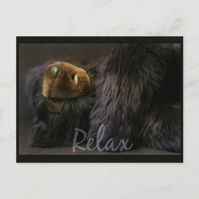 Cartão Postal Relaxe A Placa De Posto Com Urso Dormindo (Frente)