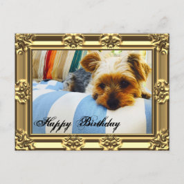 Cartão Postal Relaxe com Yorkie Birthday
