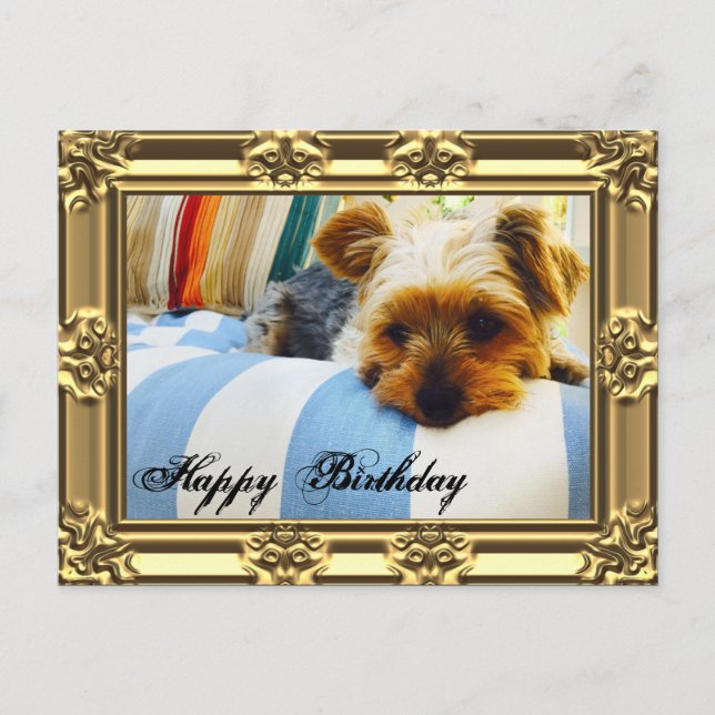 Cartão Postal Relaxe com Yorkie Birthday (Frente)