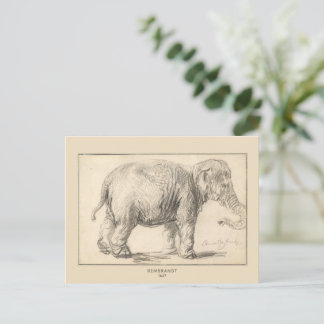 Cartão Postal Rembrandt, Um elefante, 1637, Belas Artes