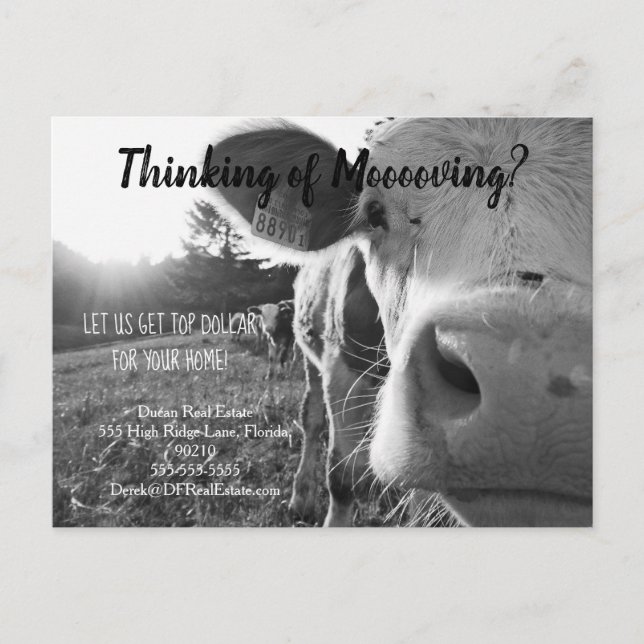 Cartão Postal remessa de fazenda por vaca imobiliária marketing  (Frente)