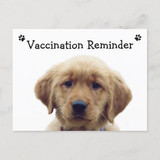 Cartão Postal Reminente de Vacinação Veterinária Cartão-postal