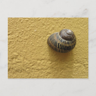 Cartão Postal Repouso