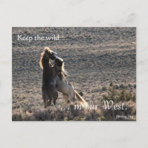 Cartão Postal Reprodutivo, Pré-endereçado: Seg do Interior