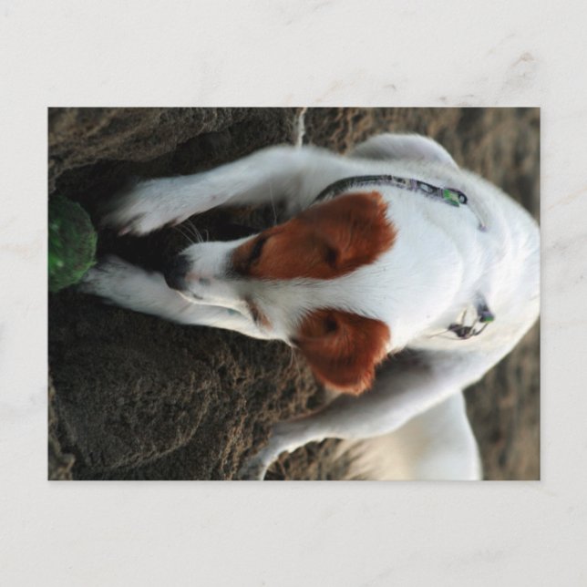 Cartão Postal "Reproduzir Duro" (Frente)