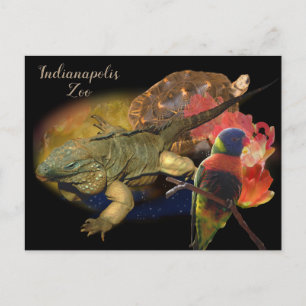 Cartão Postal Répteis e Aves do Zoológico de Indianápolis