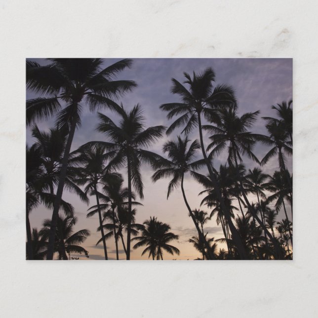 Cartão Postal República Dominicana, Península de Samana, Las 2 (Frente)