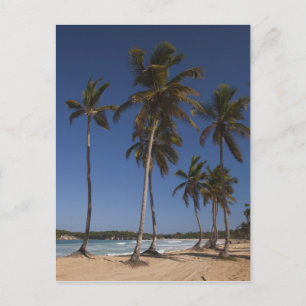 Cartão Postal República Dominicana, Região de Punta Cana, El