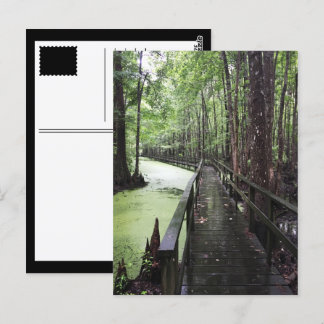 Cartão Postal reserva costeira de santeve