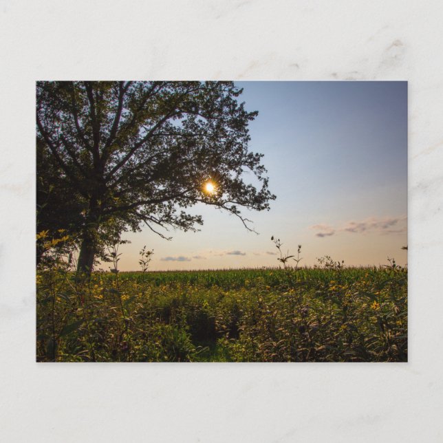 Cartão Postal Reserva de Estado do Cemitério Bigelow, Ohio (Frente)