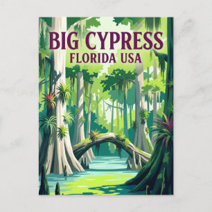 Cartão Postal Reserva Nacional Big Cypress EUA