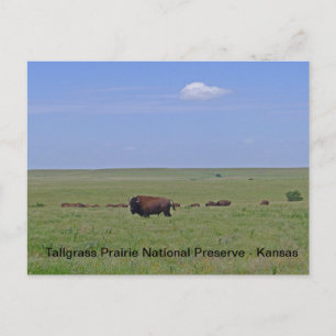 Cartão Postal Reserva Nacional de Tallpopular Prairie - Kansas