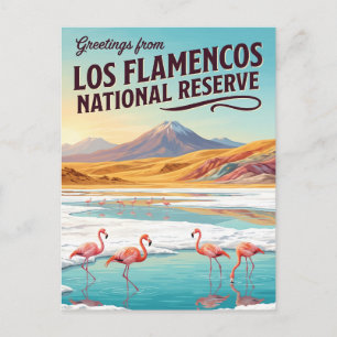 Cartão Postal Reserva Nacional Los Flamencos Chile