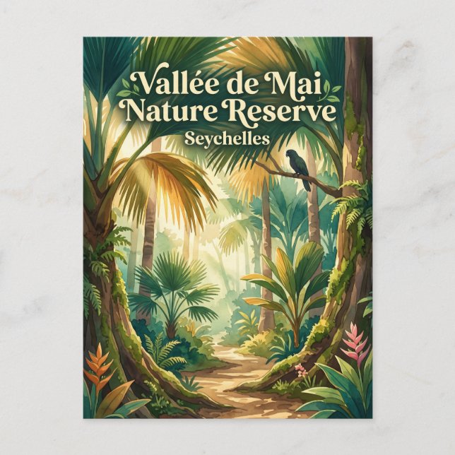 Cartão Postal Reserva Natural da Vallée de Mai Seychelles (Frente)