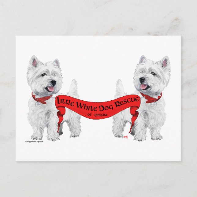 Cartão Postal Resgate de Cachorro Branco Pequeno (Frente)
