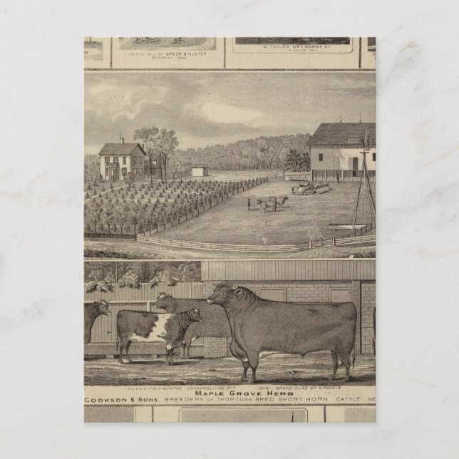 Cartão Postal Residências, edifícios e igrejas (Frente)