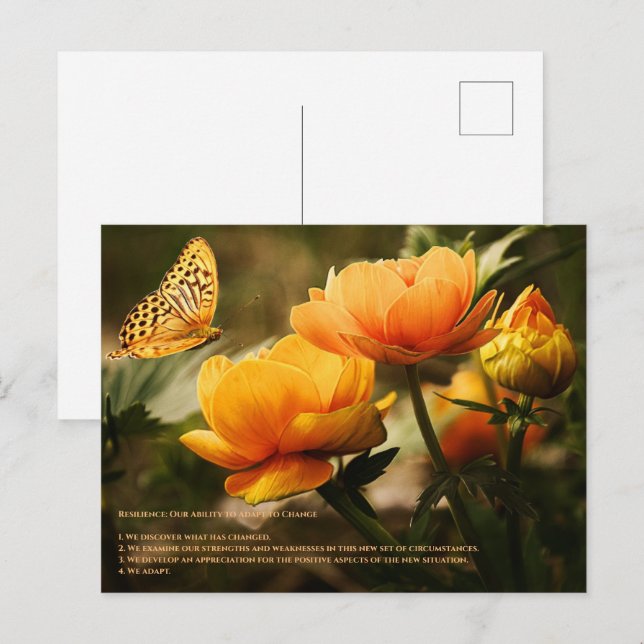 Cartão Postal Resiliência (Frente/Verso)
