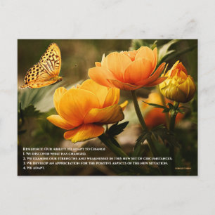 Cartão Postal Resiliência: Nossa Capacidade de nos Adaptar à Mud