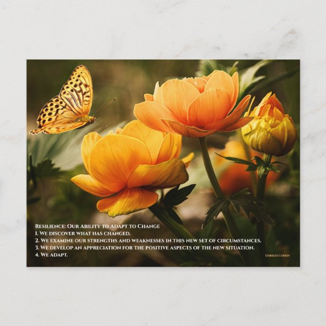 Cartão Postal Resiliência: Nossa Capacidade de nos Adaptar à Mud (Frente)