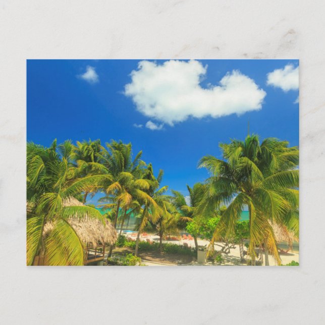 Cartão Postal Resort de praia tropical, Belize (Frente)