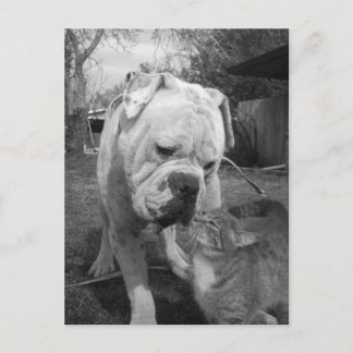 Cartão Postal respeito