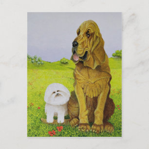 Cartão Postal Responsável