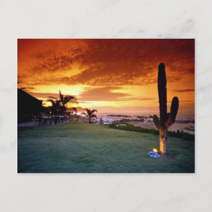 Cartão Postal restaurante La Concha, Baja, México