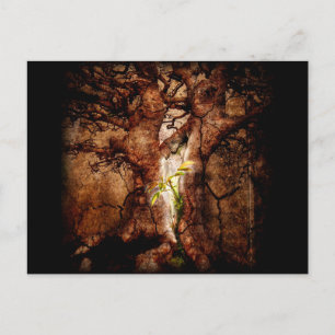 Cartão Postal Restaure os anos de desolação