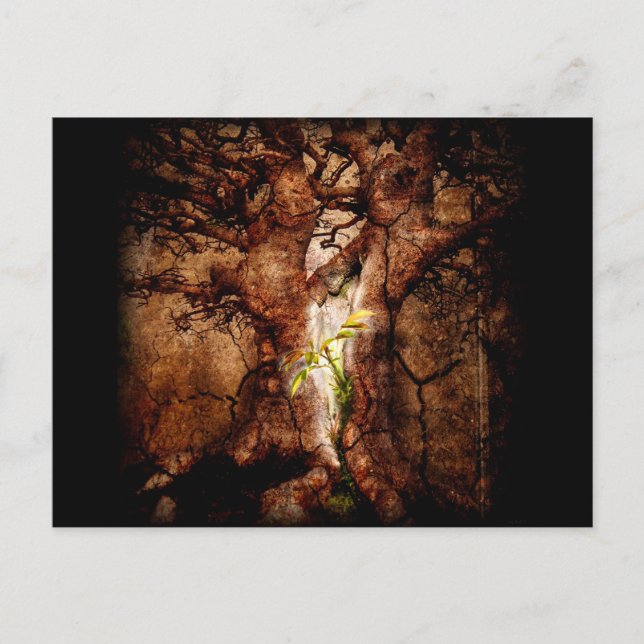 Cartão Postal Restaure os anos de desolação (Frente)