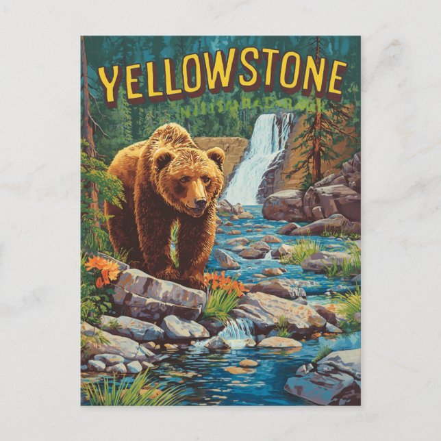 Cartão Postal Retorno Yellowstone - Urso Grizzly e Água (Frente)
