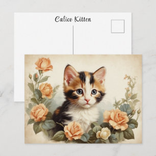 Cartão Postal Retrato Antigo de Gatinho Malhado Fofo Flores Doce
