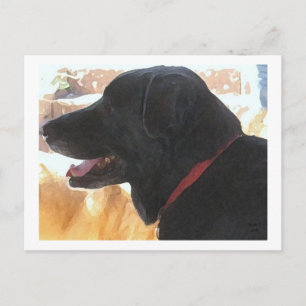 Cartão Postal Retrato bonito de laboratório preto - Sobrecarga