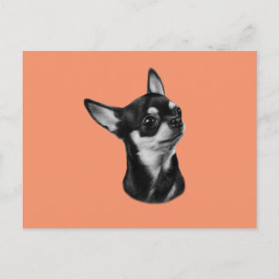 Cartão Postal Retrato chihuahua pintado à mão
