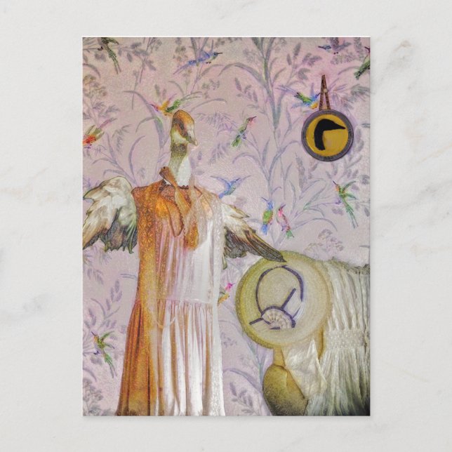 Cartão Postal Retrato da Sra. Smew (Frente)