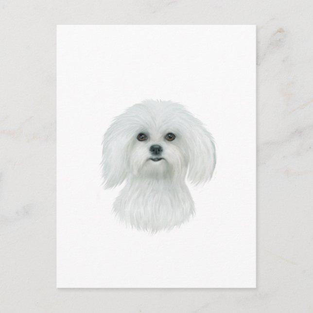 Cartão Postal Retrato de cabeça de Malta (Frente)