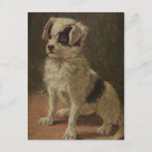 Cartão Postal Retrato de Cachorro Vintage Minna Stocks