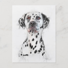 Cartão Postal Retrato de Cão Dalmata