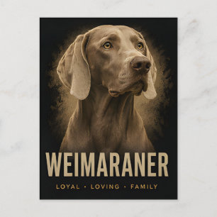 Cartão Postal Retrato de Cão de Família Leal e Amoroso Weimarane